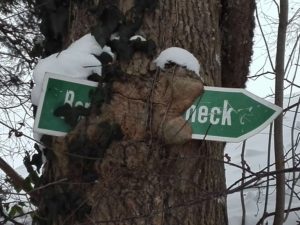 Bild eingewachsenes Schild am Baum Hocheck
